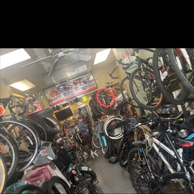 Inside Stan's Bike Shop — wall of bikes